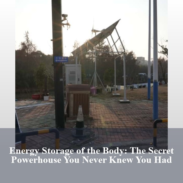 Energy Storage of the Body: The Secret Powerhouse You Never Knew You Had